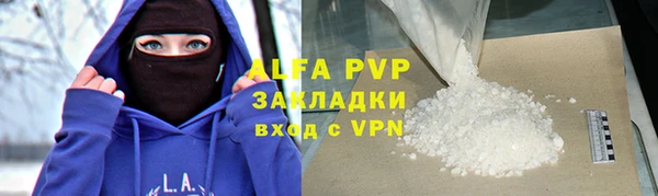индика Абаза