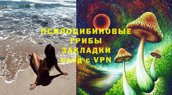 мдпв Алзамай