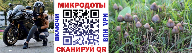 Псилоцибиновые грибы прущие грибы  где продают   Дмитриев 